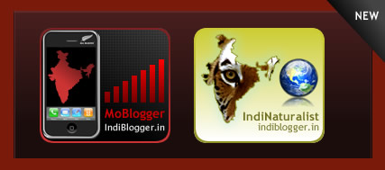 new_badges_for_blog new_badges_for_blog